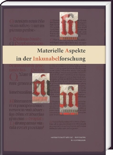 Materielle Aspekte in Der Inkunabelforschung (Hardcover)