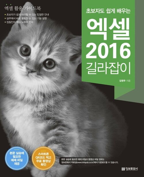 초보자도 쉽게 배우는 엑셀 2016 길라잡이