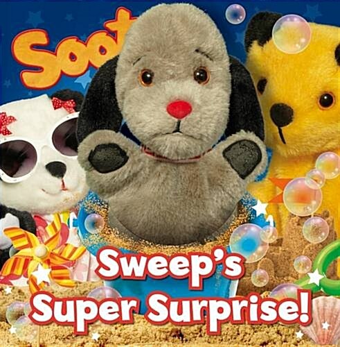 Sweeps Super Surprise (Novelty Book)