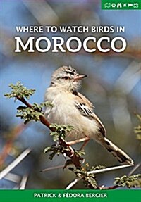 Where to Watch Birds in Morocco (Paperback)