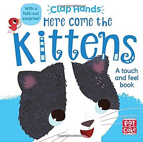 Clap Hands: Here Come the Kittens : A touch-and-feel board book with a fold-out surprise (Board Book)