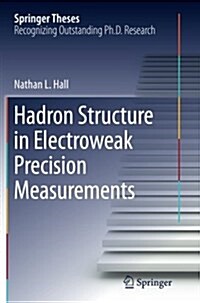 Hadron Structure in Electroweak Precision Measurements (Paperback, Softcover Repri)