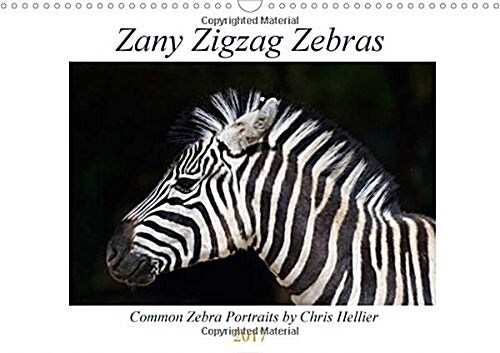 Zany Zigzag Zebras 2017 : Award-winning photographer, Chris Hellier, shoots a dozen images of one of the worlds most popular wild animals. (Calendar)