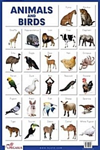Animals & Birds (Poster)