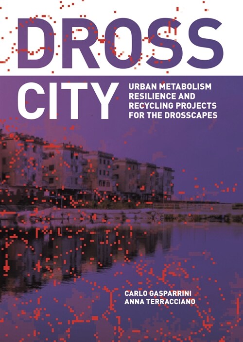 DROSS CITY (Paperback)
