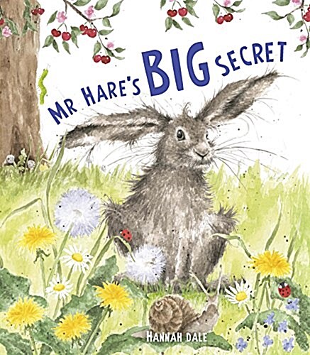 Mr Hares Big Secret (Paperback)