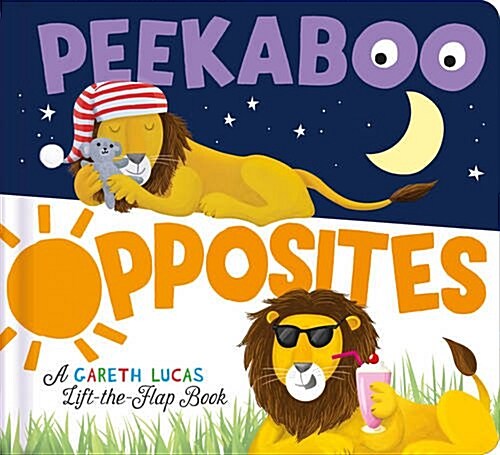 Peekaboo Opposites (Novelty Book)