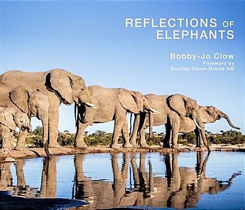 Reflections of Elephants (Hardcover)
