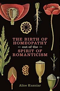The Birth of Homeopathy Out of the Spirit of Romanticism (Paperback)