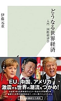 どうなる世界經濟 入門 國際經濟學 (光文社新書) (新書)