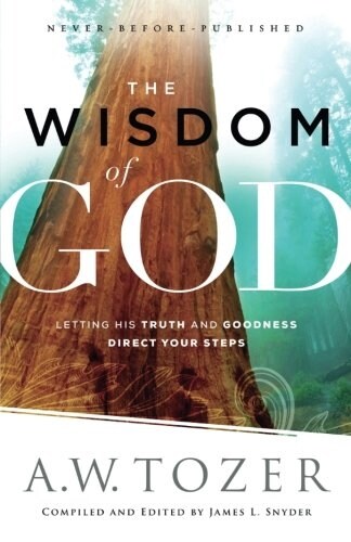 The Wisdom of God: Letting His Truth and Goodness Direct Your Steps (Paperback)