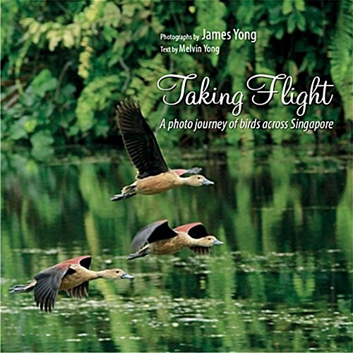 Taking Flight: A Photo Journey of Birds Across Singapore (Paperback)