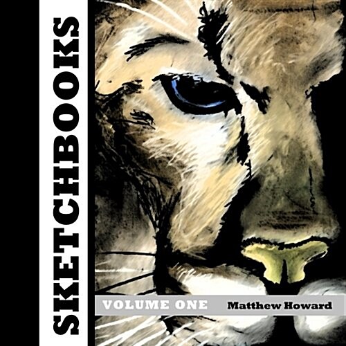 Sketchbooks: Volume One (Paperback)