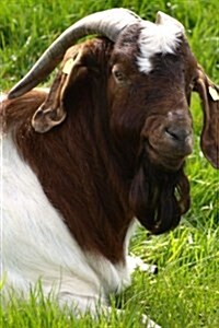 A Billy Goat Relaxing in the Grass: Blank 150 Page Lined Journal for Your Thoughts, Ideas, and Inspiration (Paperback)