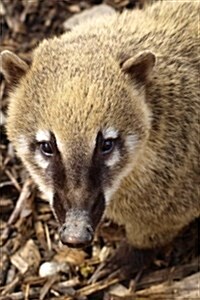 A Coati Looking Up, for the Love of Animals: Blank 150 Page Lined Journal for Your Thoughts, Ideas, and Inspiration (Paperback)