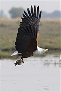 African Fish Eagle Goes Fishing Journal: 150 Page Lined Notebook/Diary (Paperback)