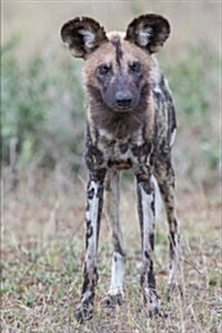 African Wild Dog Journal: 150 Page Lined Notebook/Diary (Paperback)