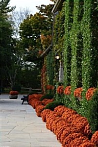 Orange Mums in an Autumn Landscape: 150 Page Lined Notebook/Diary (Paperback)