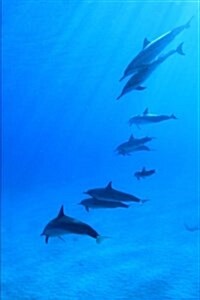 Dolphins in the Ocean Journal: 150 Page Lined Notebook/Diary (Paperback)
