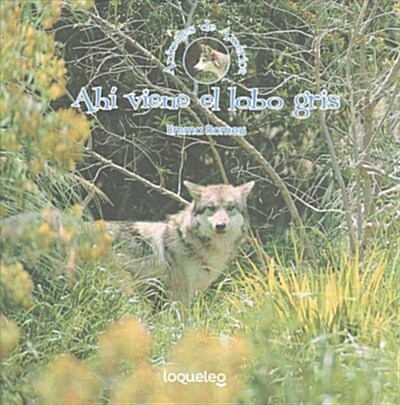 Ahi Viene El Lobo Gris (Paperback)