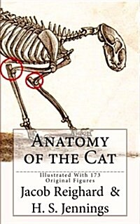 Anatomy of the Cat: [Illustrated with 173 Original Figures] (Paperback)