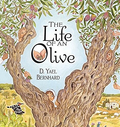 The Life of an Olive (Paperback)