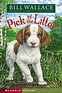 [중고] Pick of the Litter (Paperback, Reprint)