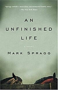 An Unfinished Life (Paperback)