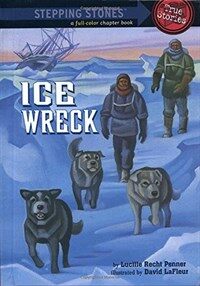 Ice Wreck (Paperback)