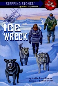 Ice wreck