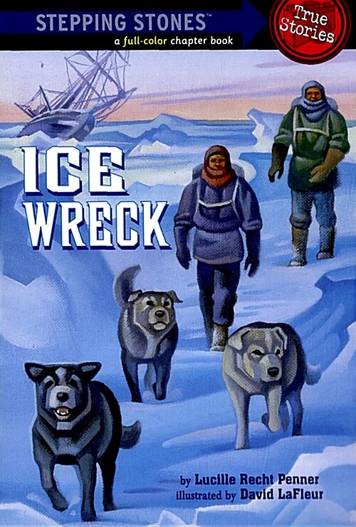 Ice Wreck (Paperback)