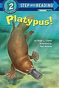 [중고] Platypus! (Paperback)