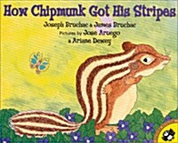 How Chipmunk Got His Stripes (Paperback)