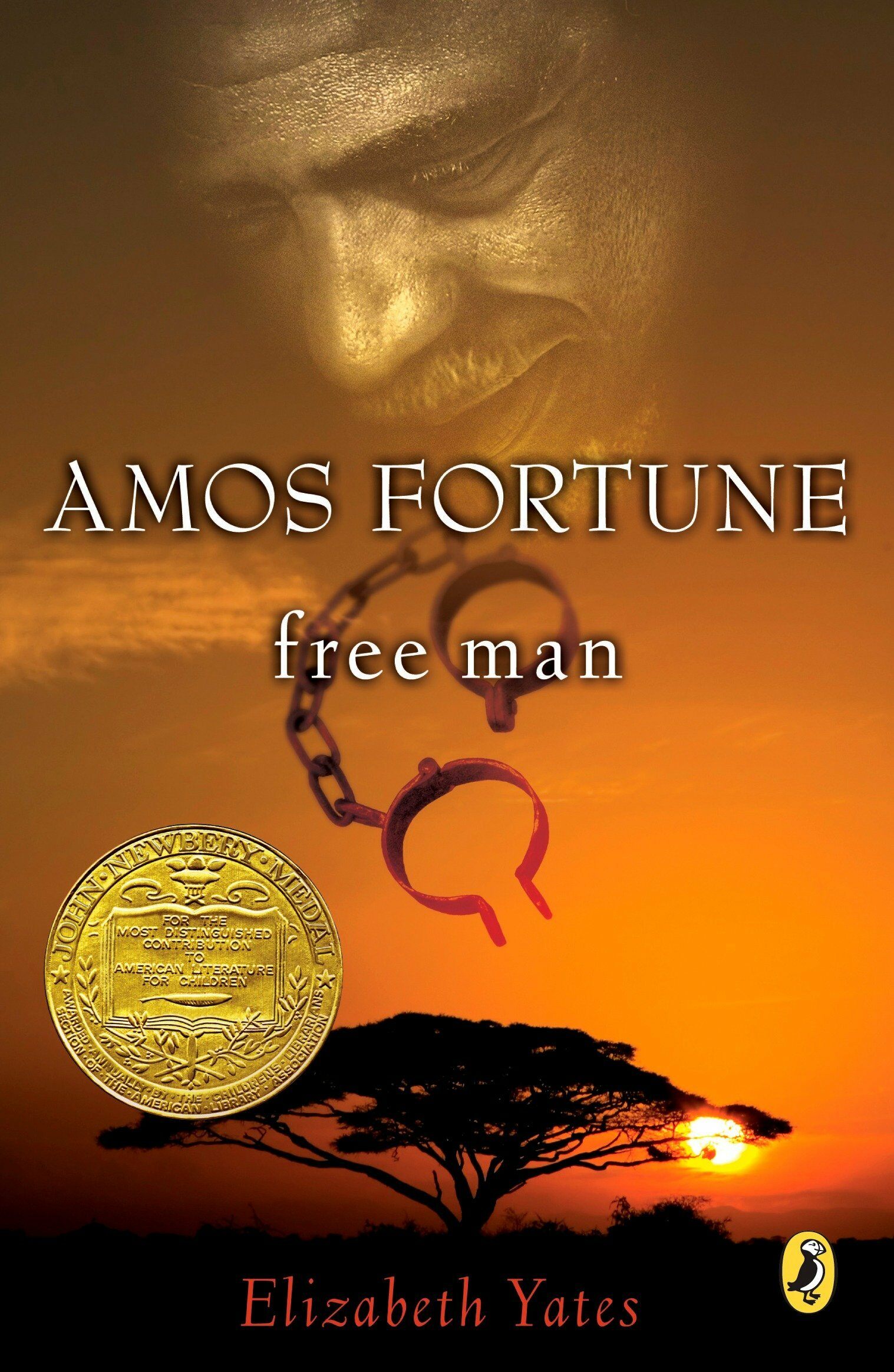 Amos Fortune, Free Man (Paperback)