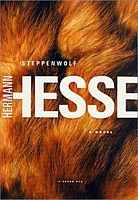 [중고] Steppenwolf (Paperback)