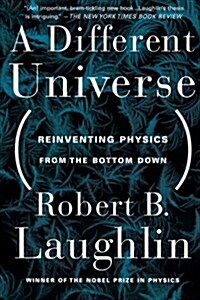 [중고] A Different Universe: Reinventing Physics from the Bottom Down (Paperback)