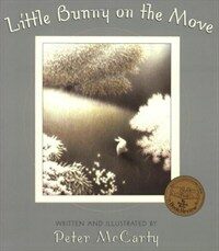 Little Bunny on the Move (Paperback)