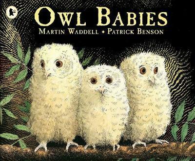 [중고] Owl Babies (Paperback, New ed)