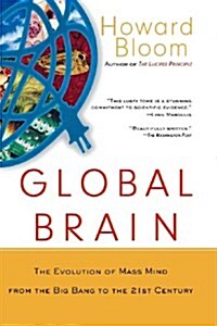 Global Brain: The Evolution of the Mass Mind from the Big Bang to the 21st Century (Paperback)