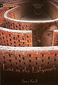 Lost in the Labyrinth (Paperback)