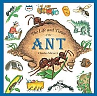 The Life And Times of the Ant (Paperback, 1st)