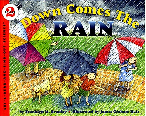Down Comes the Rain (Paperback)