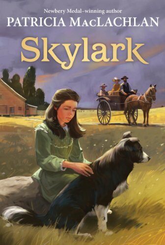 [중고] Skylark (Paperback)