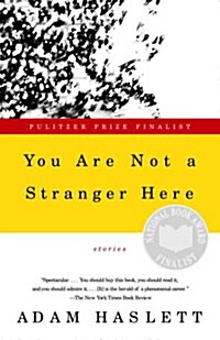 You Are Not a Stranger Here (Paperback, Reprint)