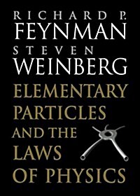 Elementary Particles and the Laws of Physics : The 1986 Dirac Memorial Lectures (Paperback)