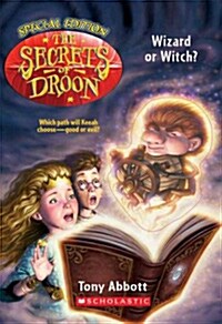 Wizard or Witch (Paperback)
