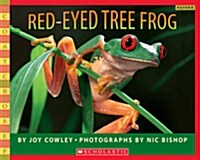 [중고] Red-Eyed Tree Frog (Paperback)