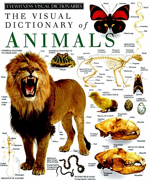 [중고] The Visual dictionary of Animals (Hardcover)