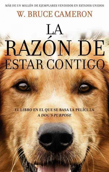 La Razon de Estar Contigo (Paperback)