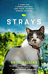 Strays: A Lost Cat, a Homeless Man, and Their Journey Across America (Hardcover)
